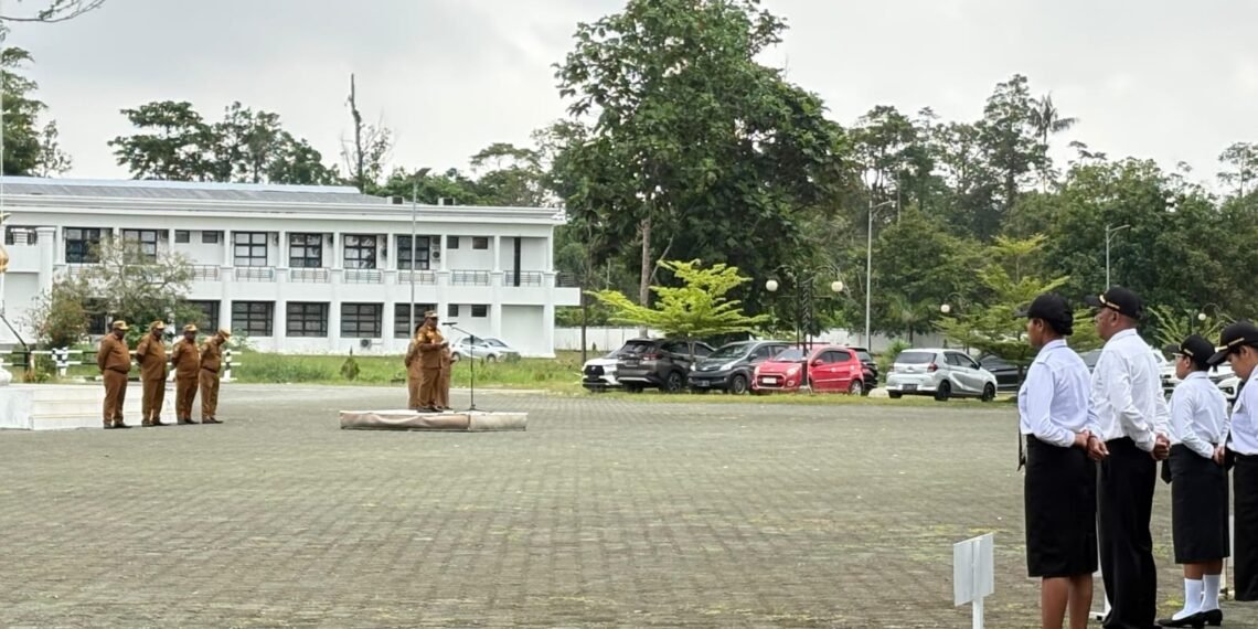 Serapan Anggaran Mimika Baru 27,41 Persen, Wabup Emanuel Kemong: OPD Jangan Main-Main