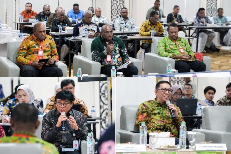 Pemerintah Pusat dan Daerah Perkuat Sinergi Implementasi RAPPP 2025–2029, Wujudkan Papua Sehat, Cerdas, dan Produktif