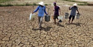 BPBD Mimika Ingatkan Warga Waspada Dampak El Nino, Suhu Udara Capai 30 Derajat Celsius