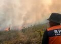 90 Titik Panas Terdeteksi di Puncak, Kebakaran Hutan dan Lahan Meluas