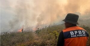 90 Titik Panas Terdeteksi di Puncak, Kebakaran Hutan dan Lahan Meluas