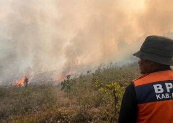 90 Titik Panas Terdeteksi di Puncak, Kebakaran Hutan dan Lahan Meluas