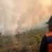 90 Titik Panas Terdeteksi di Puncak, Kebakaran Hutan dan Lahan Meluas