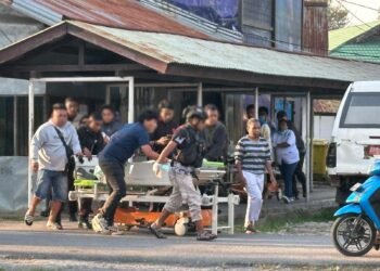 Tiga Pegawai Dinas Pertanian Jayawijaya Tewas Ditembak di Muliama, Polisi Buru Pelaku
