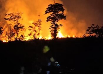 Kebakaran Lahan di SP7 Timika, Api Berjarak 200 Meter dari Permukiman
