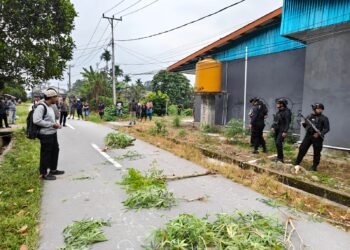 Polisi Temukan Pisau dan Bir Kaleng di TKP Pembunuhan SP2 Jalur 2 Timika