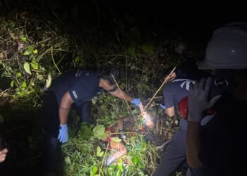 Pria Ditemukan Tewas dengan Enam Anak Panah di Lorong Eme Neme Yauware Timika