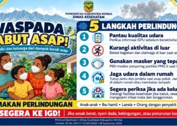 ISPA di Mimika Capai 65.555 Kasus, Dinkes Terbitkan Edaran Waspada Kabut Asap