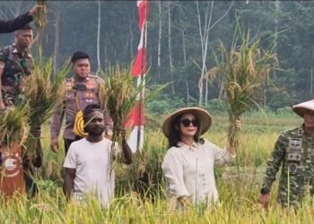 Hadiri Panen Raya Yonif TP 820/DAAI, Ketua HKTI Mimika Dorong Libatkan Masyarakat