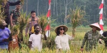 Hadiri Panen Raya Yonif TP 820/DAAI, Ketua HKTI Mimika Dorong Libatkan Masyarakat