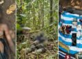 Kontak Tembak Dengan TNI di Maybrat, Tiga Anggota OPM Dilaporkan Tewas