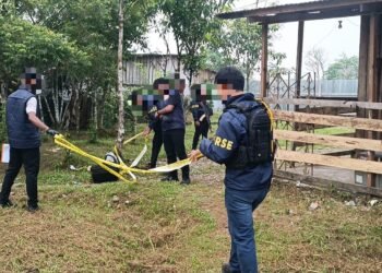 Tenaga Honorer RSUD Dekai Ditikam OTK, Satgas Damai Cartenz Dalami Dugaan Keterlibatan KKB