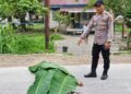 Diduga Tabrak Lari, Pria 31 Tahun Tewas di Mapurujaya, Jalan Timika–Pomako Dipalang Warga