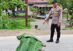 Diduga Tabrak Lari, Pria 31 Tahun Tewas di Mapurujaya, Jalan Timika–Pomako Dipalang Warga