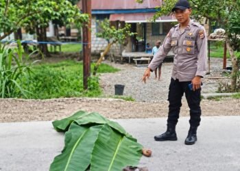 Diduga Tabrak Lari, Pria 31 Tahun Tewas di Mapurujaya, Jalan Timika–Pomako Dipalang Warga