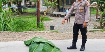 Diduga Tabrak Lari, Pria 31 Tahun Tewas di Mapurujaya, Jalan Timika–Pomako Dipalang Warga