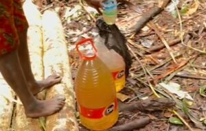 Kesulitan Air Bersih, Warga Distrik Jita Konsumsi Air Payau
