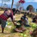 Kepala Suku Besar Dani Ajak Warga Cegah Kebakaran Hutan dan Jaga Keamanan Kabupaten Puncak
